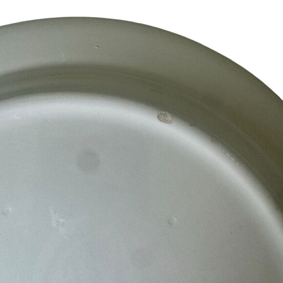 “SALAD DAYS” by Ursula Dodge for  Signature Housewares Set Of 4  9" Plates - Picture 14 of 16